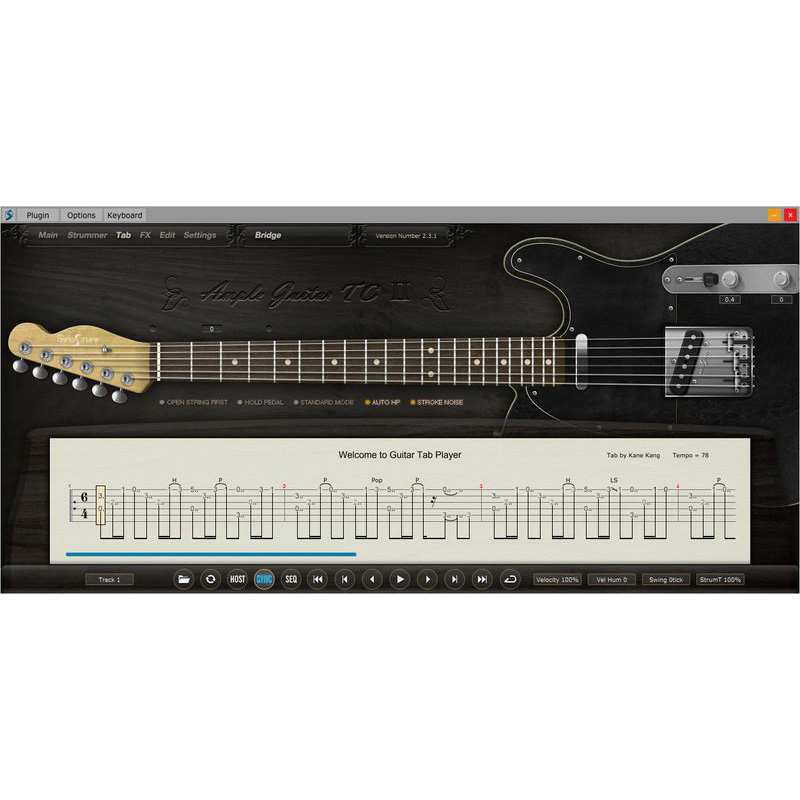 Ample Sound Ample Guitar TC III Цифровые лицензии