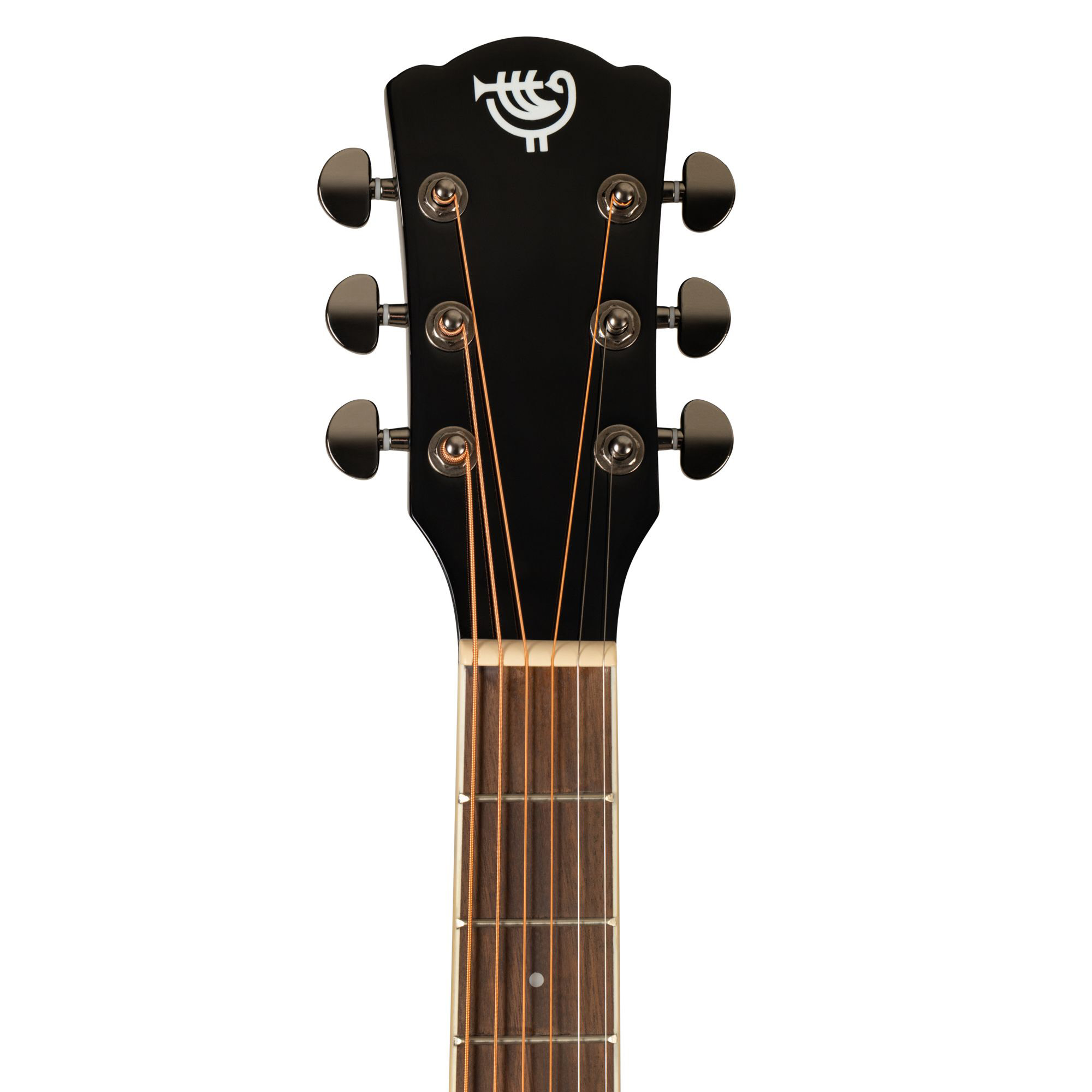Rockdale Aurora D6 BK Gloss Акустические гитары