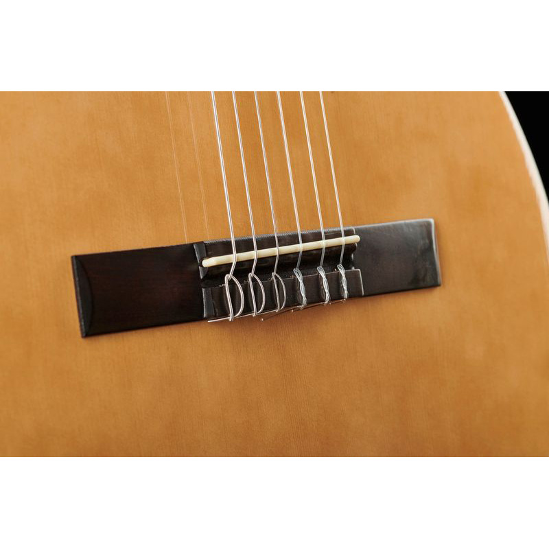 комплекты, Thomann Classic 4/4 Guitar Bundle