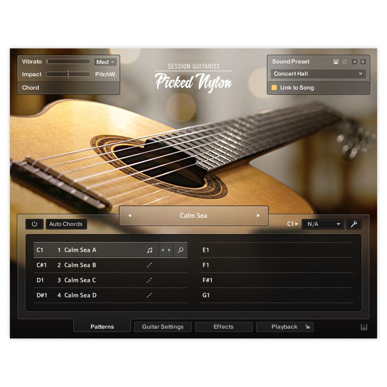 Native Instruments Session Guit. - Picked Nylon Цифровые лицензии