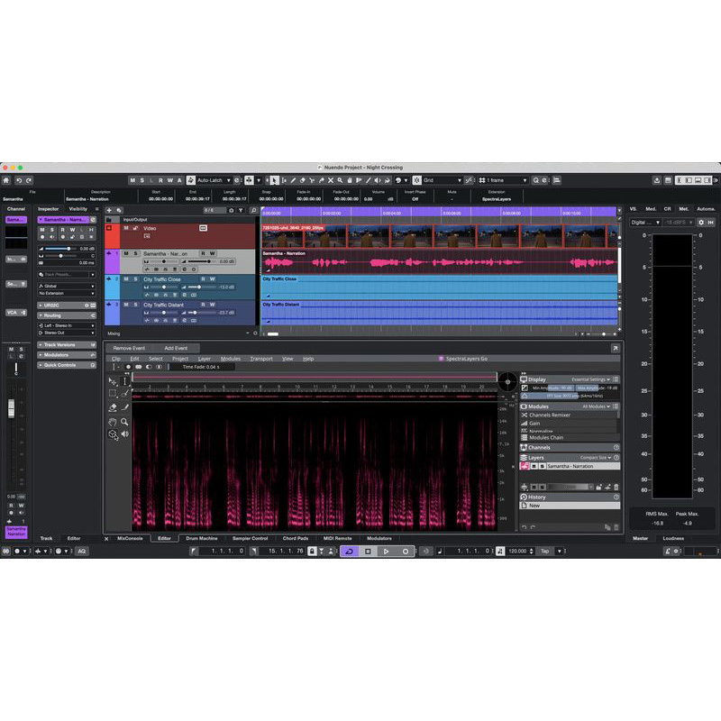 Steinberg Nuendo 15 Цифровые лицензии