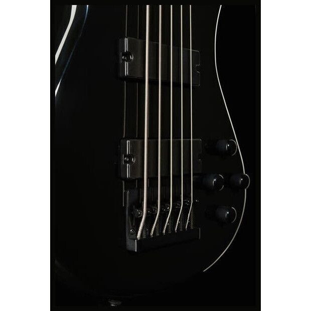 Spector PERF5BLK BLACK Бас-гитары