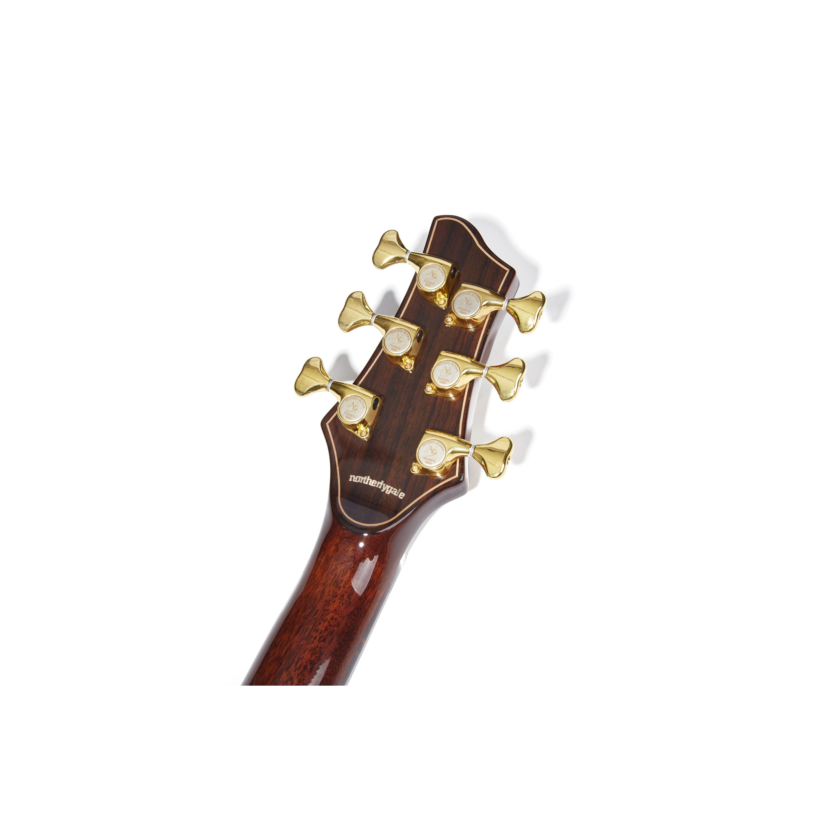 NG DM411SC BR Акустические гитары