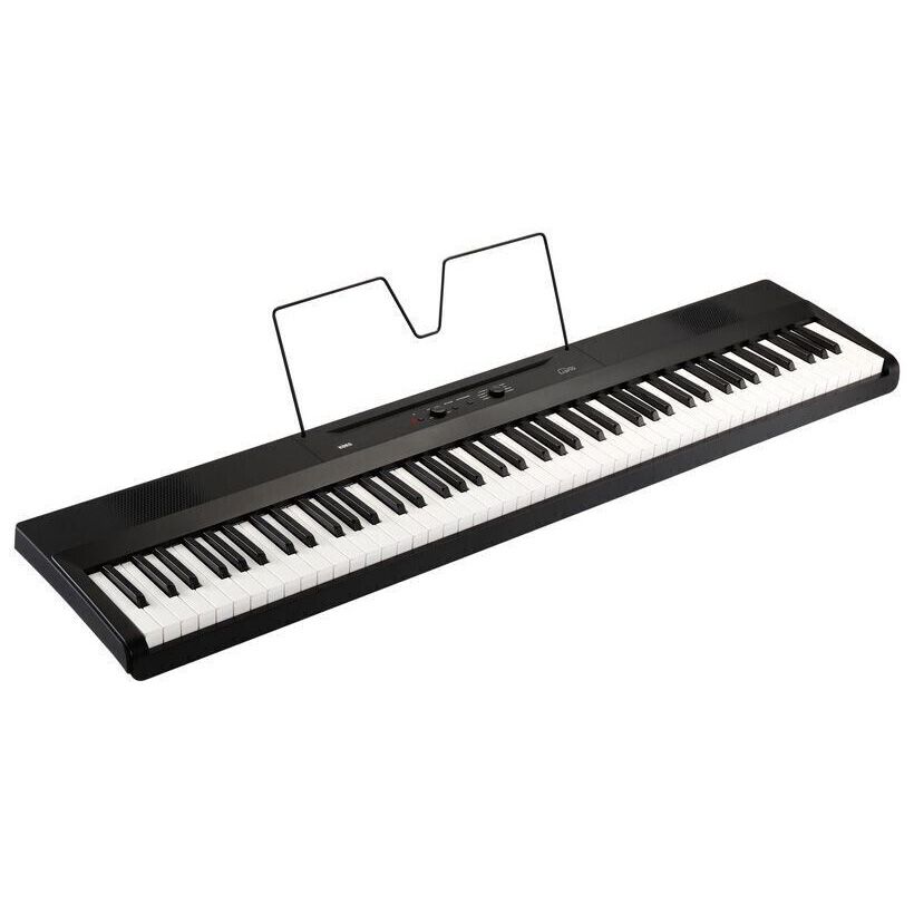 Korg L1 LIANO Korg L1 LIANO Цифровые пианино