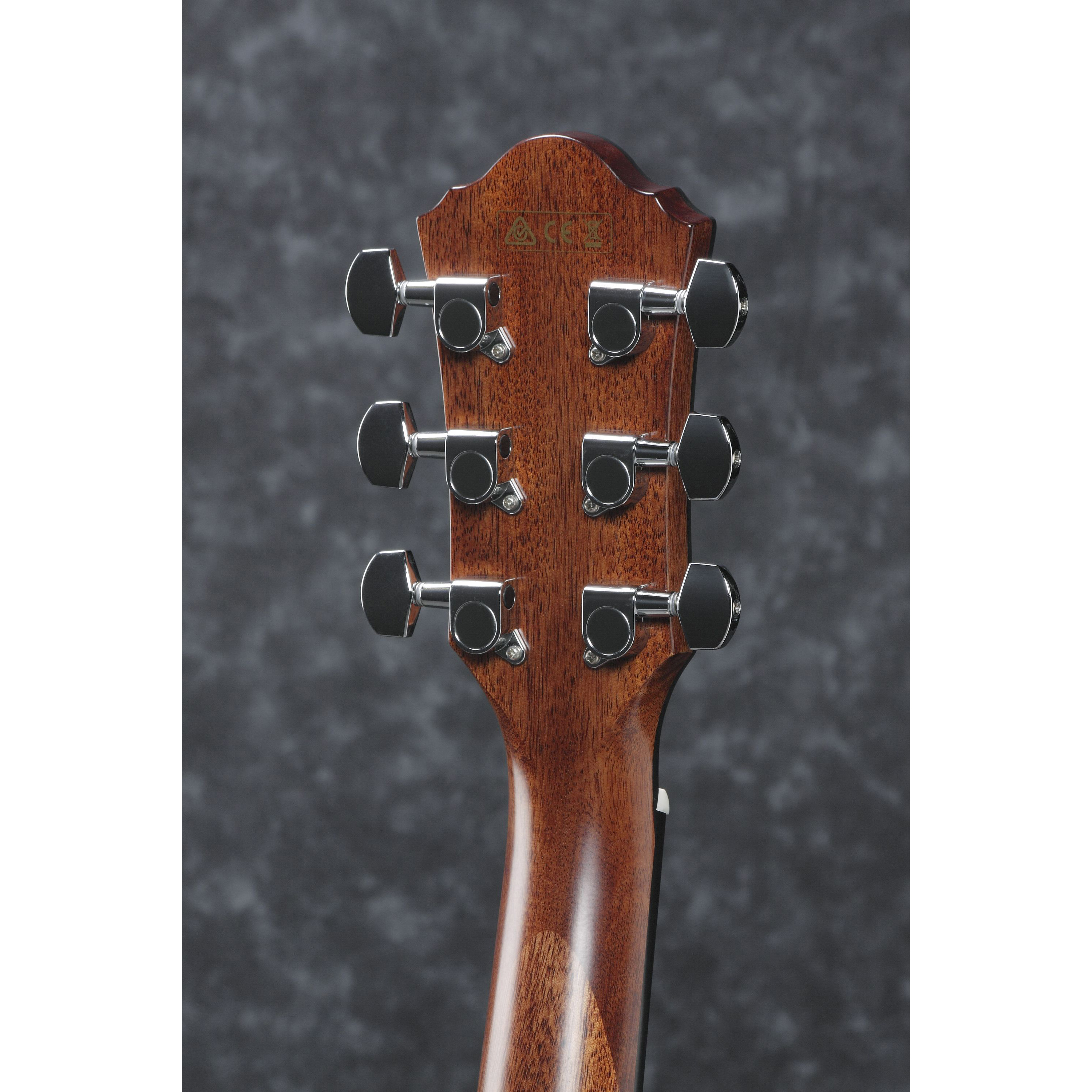 Ibanez AEG220-LGS Акустические гитары