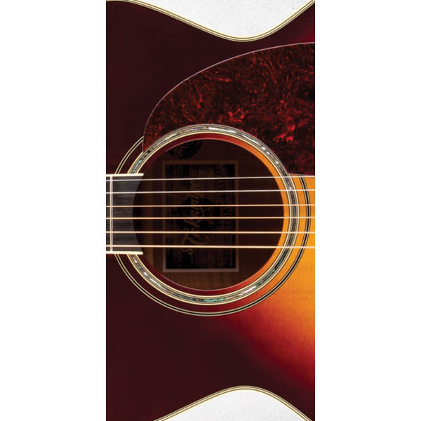 Takamine Artist EF250TK TOBY KEITH Signature Гитары акустические