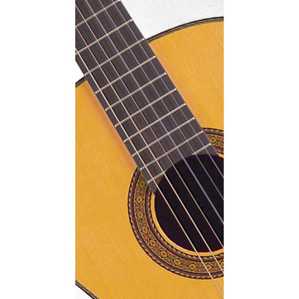 Takamine Classic Series C132S Классические гитары