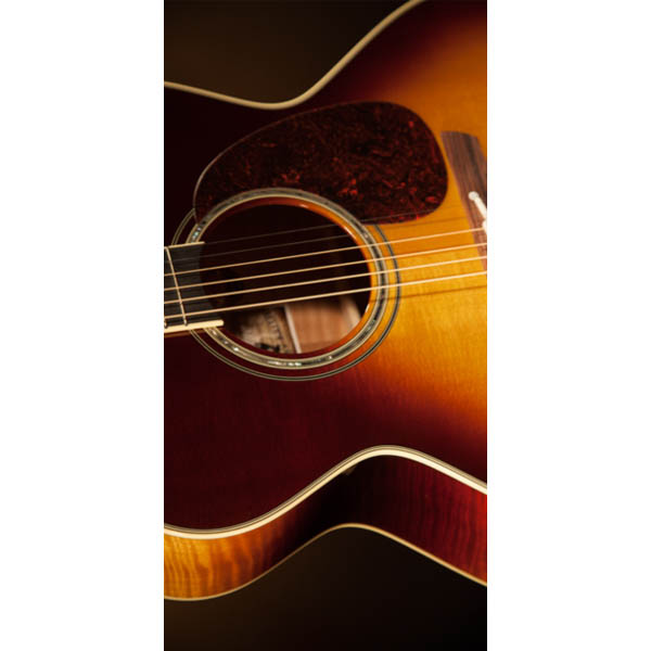 Takamine Artist EF250TK TOBY KEITH Signature Гитары акустические