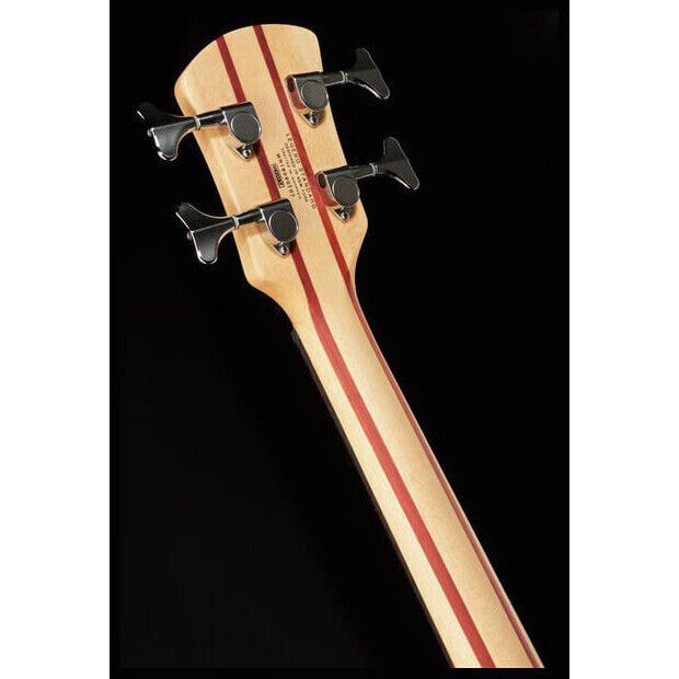 Spector LG4STBKS BLACK STAIN Бас-гитары