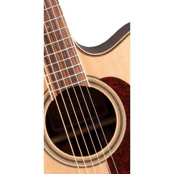 Takamine G90 Series GD93CE Takamine G90 Series GD93CE Гитары акустические