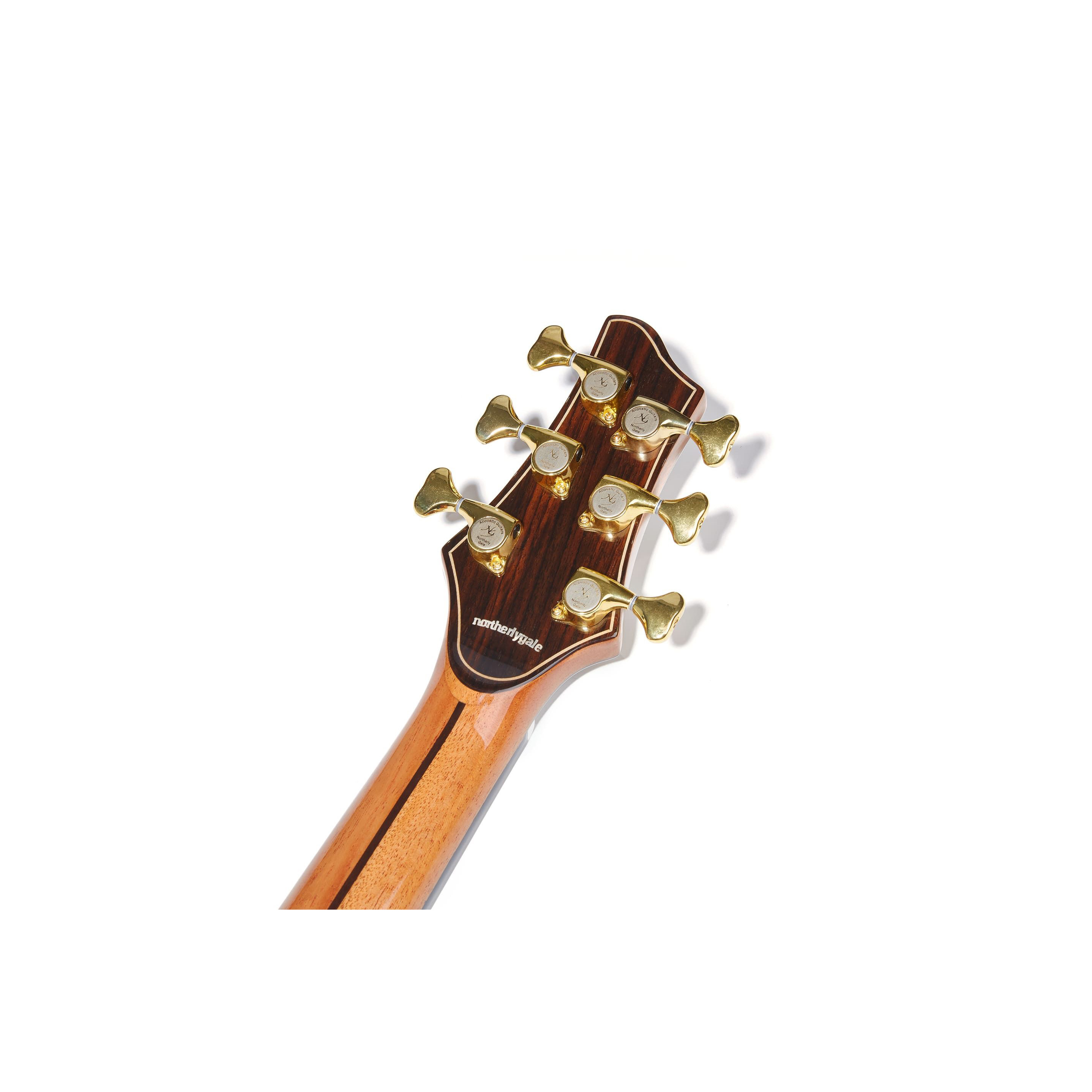NG AM411SC NA Акустические гитары