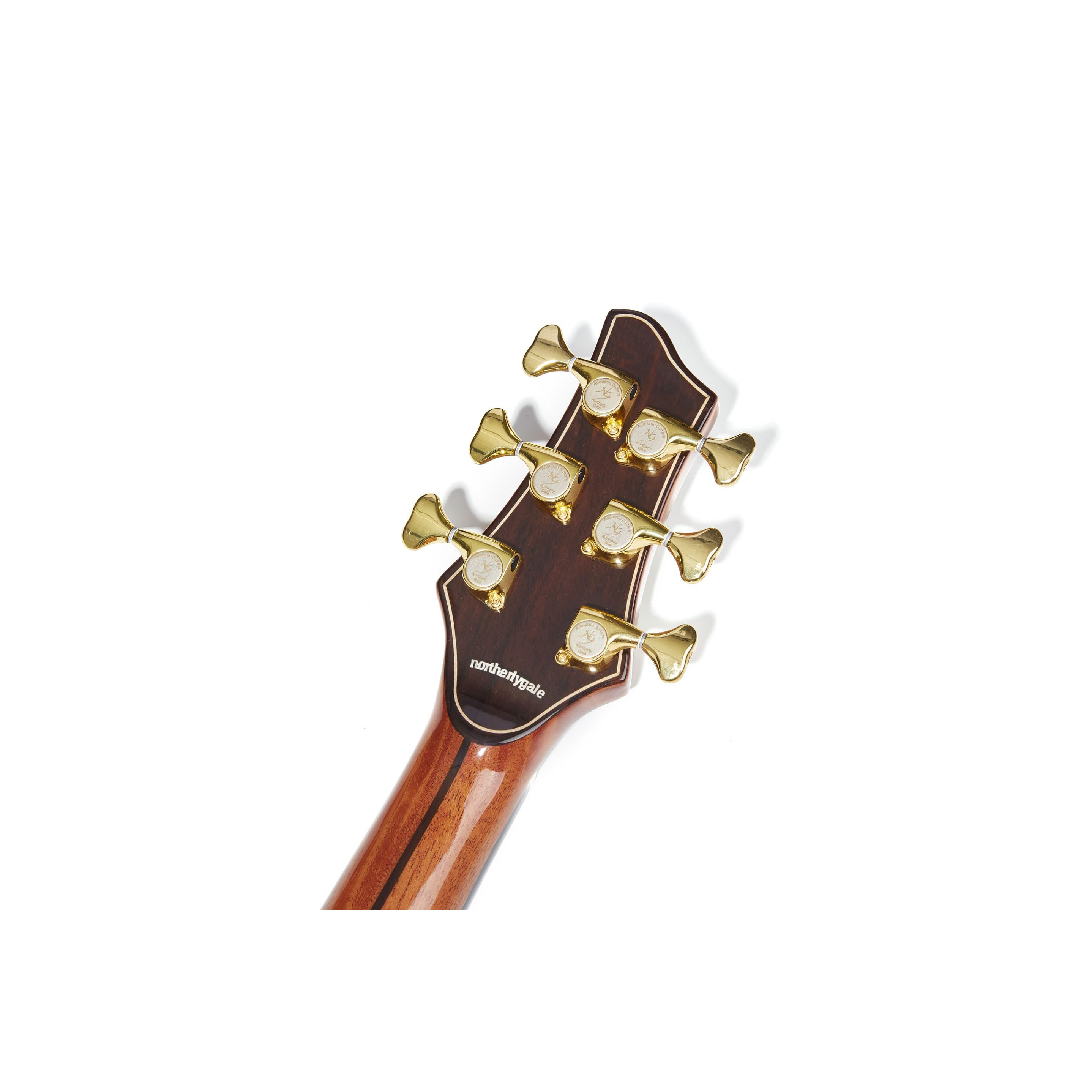 NG DM411SC NA Акустические гитары