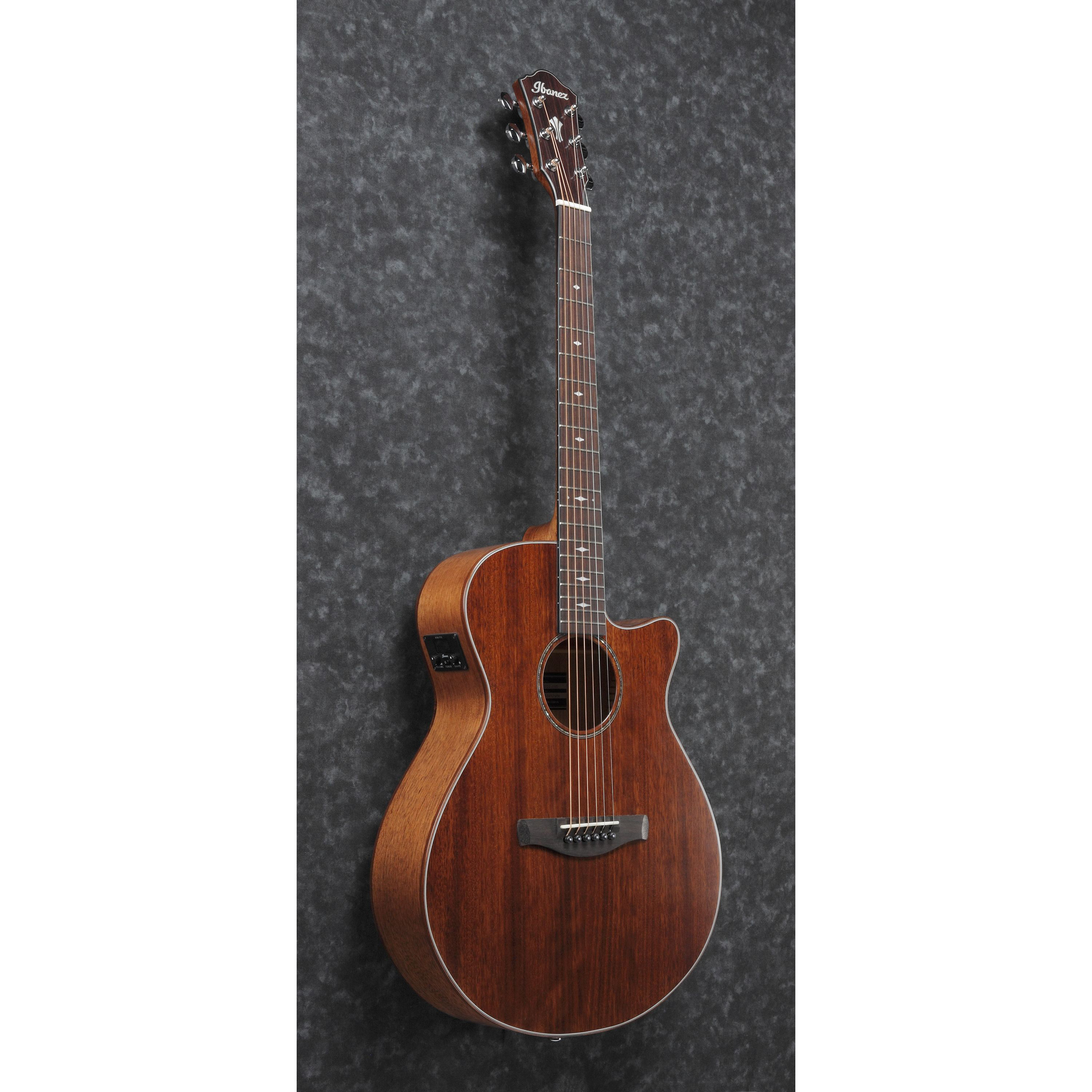 Ibanez AEG220-LGS Акустические гитары