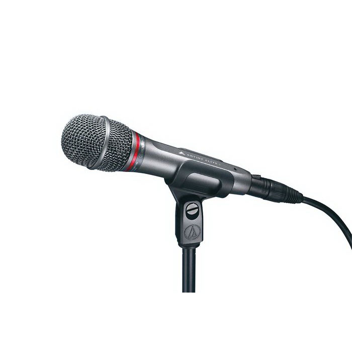 Audio-Technica AE3300 Конденсаторные микрофоны