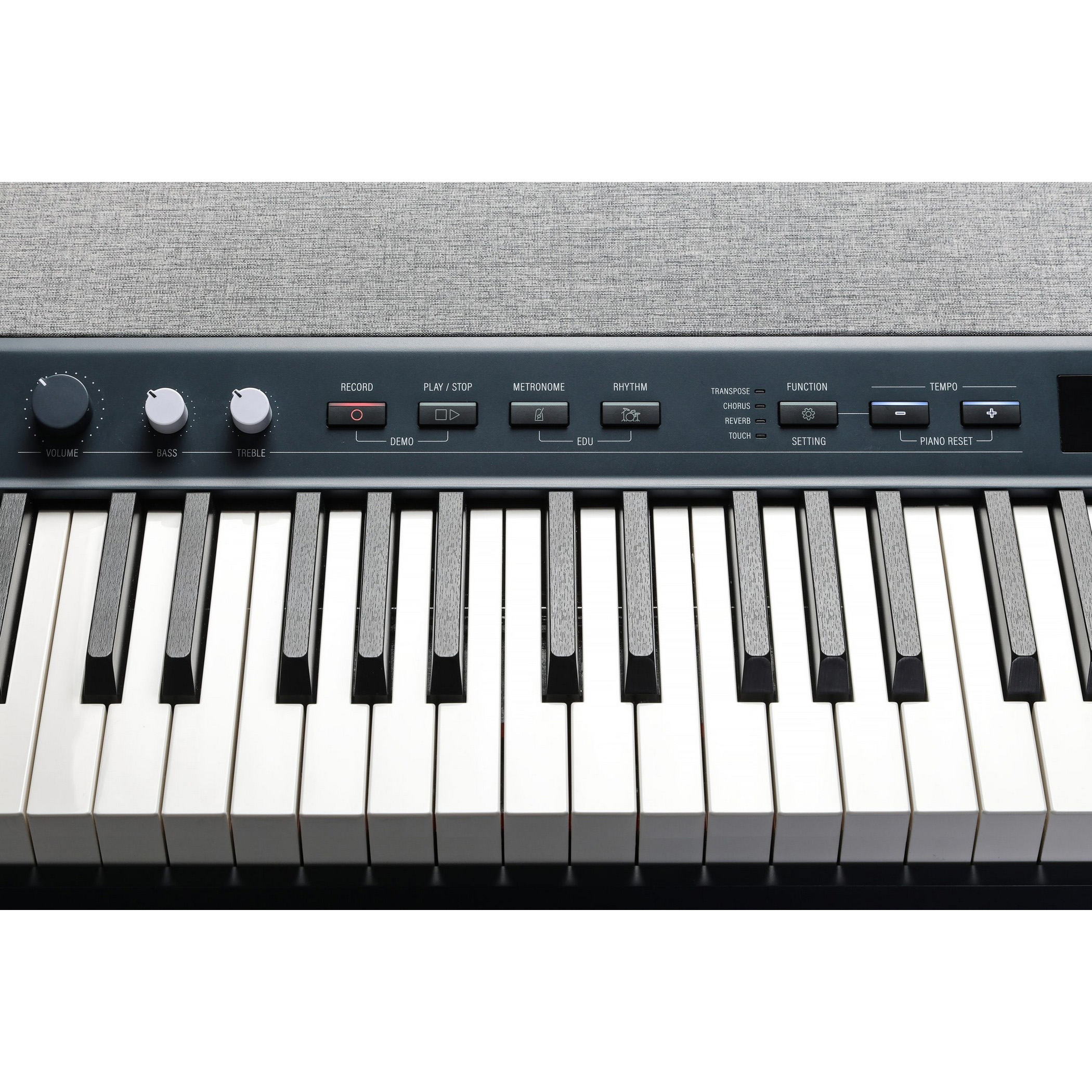 Kurzweil KA P1 LB Различное Музыкальное Оборудование