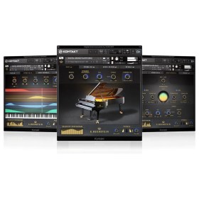 C. Bechstein Digital Grand Цифровые лицензии