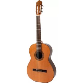 Raimundo 118 C Классические гитары