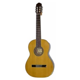 Raimundo R-123 C Классические гитары