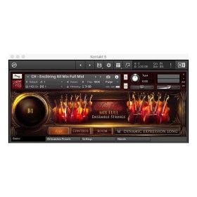 Best Service Chris Hein Ensemble Strings CG Цифровые лицензии