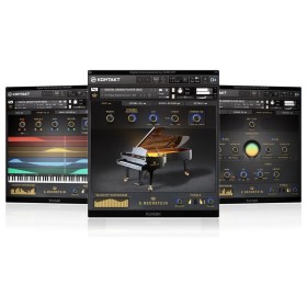 C. Bechstein Digital Grand Upgrade Цифровые лицензии