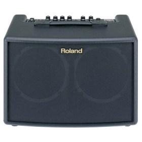 Roland AC-60 Оборудование гитарное