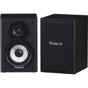 Roland Cube-Monitor-110 Оборудование гитарное