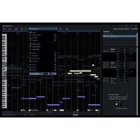 Hit'n'Mix RipX: DeepAudio | Create | RMX Цифровые лицензии