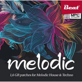 Beat Magazin Melodic Цифровые лицензии