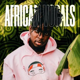 Diginoiz African Vocals Цифровые лицензии