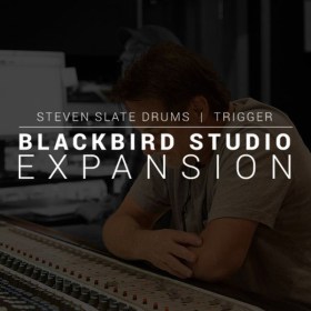 Steven Slate Audio Blackbird Studio SSD5 Exp. Цифровые лицензии