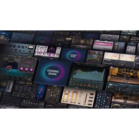 Waves Ultimate 6-Months Subscription Цифровые лицензии