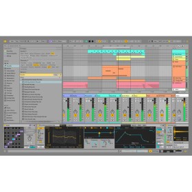 Ableton Live 12 Suite Цифровые лицензии