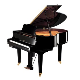 Yamaha DGC1E3 Рояли