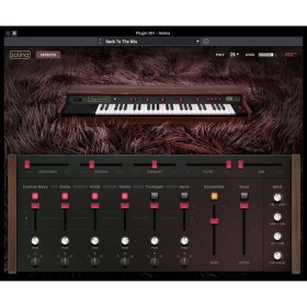 AIR Music Technology Solina Цифровые лицензии