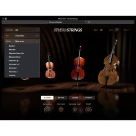 AIR Music Technology Studio Strings Цифровые лицензии