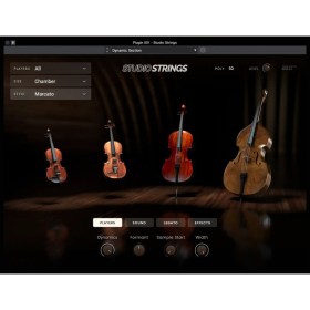 AIR Music Technology Studio Strings Цифровые лицензии