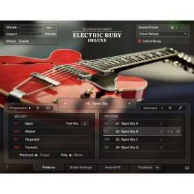 Native Instruments SG Electric Ruby Deluxe Цифровые лицензии