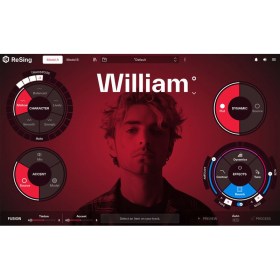 IK Multimedia ReSing MAX Цифровые лицензии