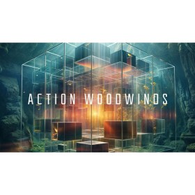 Native Instruments Action Woodwinds Цифровые лицензии