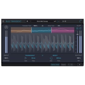 Arturia Bus Transient Цифровые лицензии