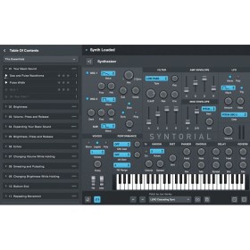 Audible Genius Syntorial 2 EDU Цифровые лицензии