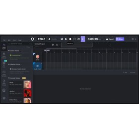 ACE Studio Artist Pro Lifetime Цифровые лицензии