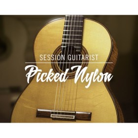 Native Instruments Session Guit. - Picked Nylon Цифровые лицензии