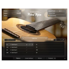 Native Instruments Session Guit. - Picked Nylon Цифровые лицензии