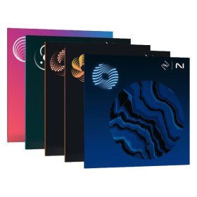 iZotope Mix & Master Bundle Advanced Цифровые лицензии