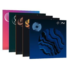 iZotope Mix & Master Bundle Adv. EDU Цифровые лицензии