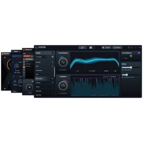 iZotope Elements Suite 12 Цифровые лицензии