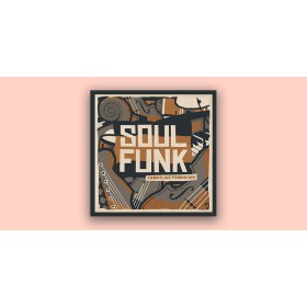 Frontline Producer Soul Funk Цифровые лицензии