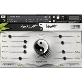 Big Fish Audio Ambient White Цифровые лицензии