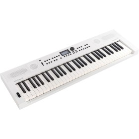 Roland GO:KEYS-5-WH Клавишные синтезаторы с автоаккомпанементом